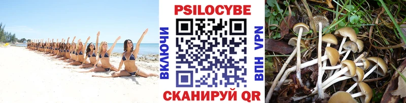 купить закладку  Балаково  площадка состав  Галлюциногенные грибы ЛСД 